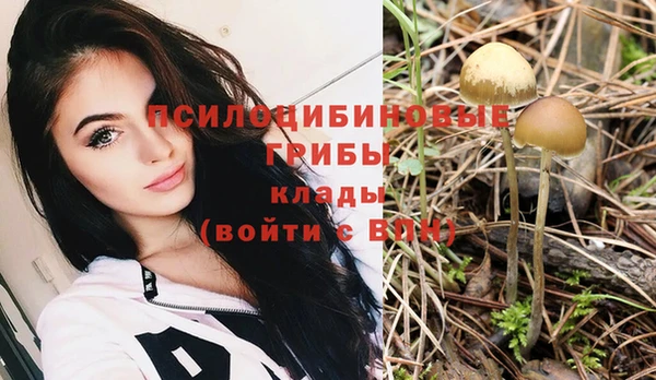 молекула духа Абдулино